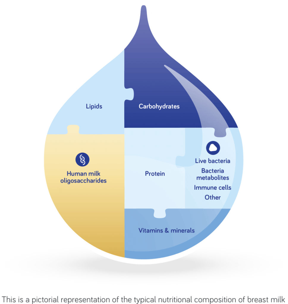 nutritional composition of breast milk