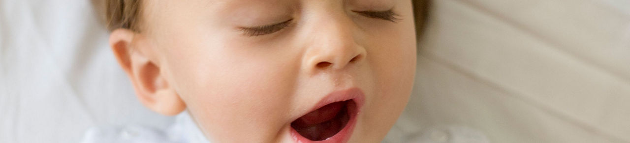 Oysters In Pregnancy