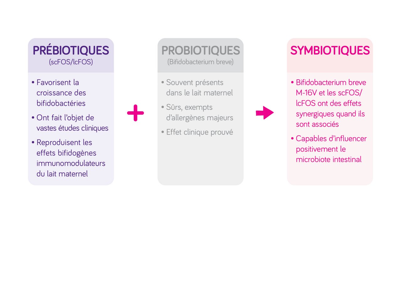 Présentation de l'association de prébiotiques et de probiotiques pour former des symbiotiques