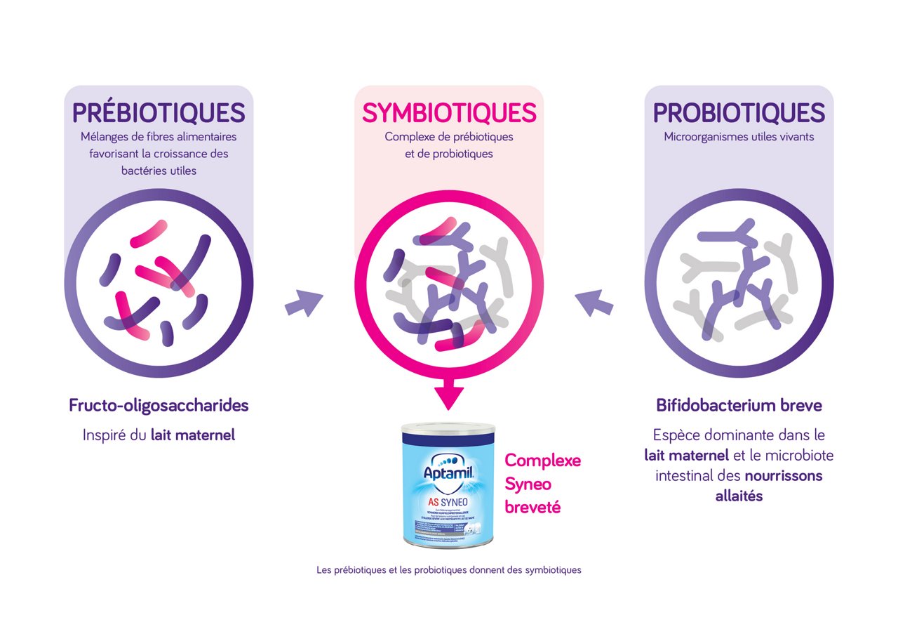 Présentation de l'association de prébiotiques et de probiotiques pour former des symbiotiques
