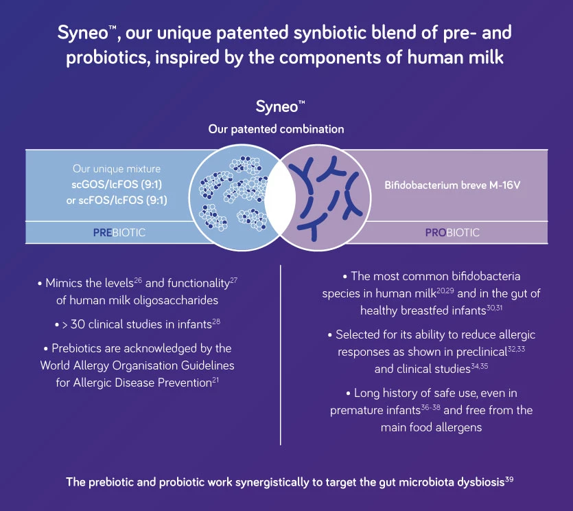 Visual representation of Syneo™, a patented combination of prebiotics and probiotics inspired by human milk components. The infographic highlights scGOS/lcFOS (9:1) and Bifidobacterium breve M-16V as key elements. It emphasizes clinical studies, allergy prevention, and benefits for infants, including gut health and immune support. Text includes numeric ratios and references to clinical findings.