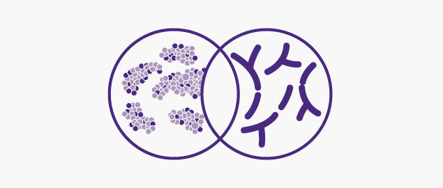 CMPA and synbiotics | Paediatrics Healthcare