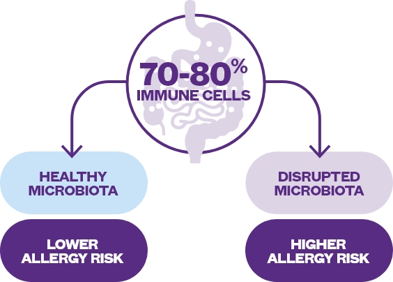 immune cells