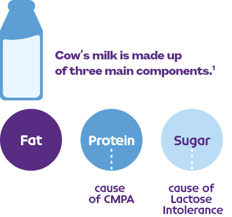 Cow's milk