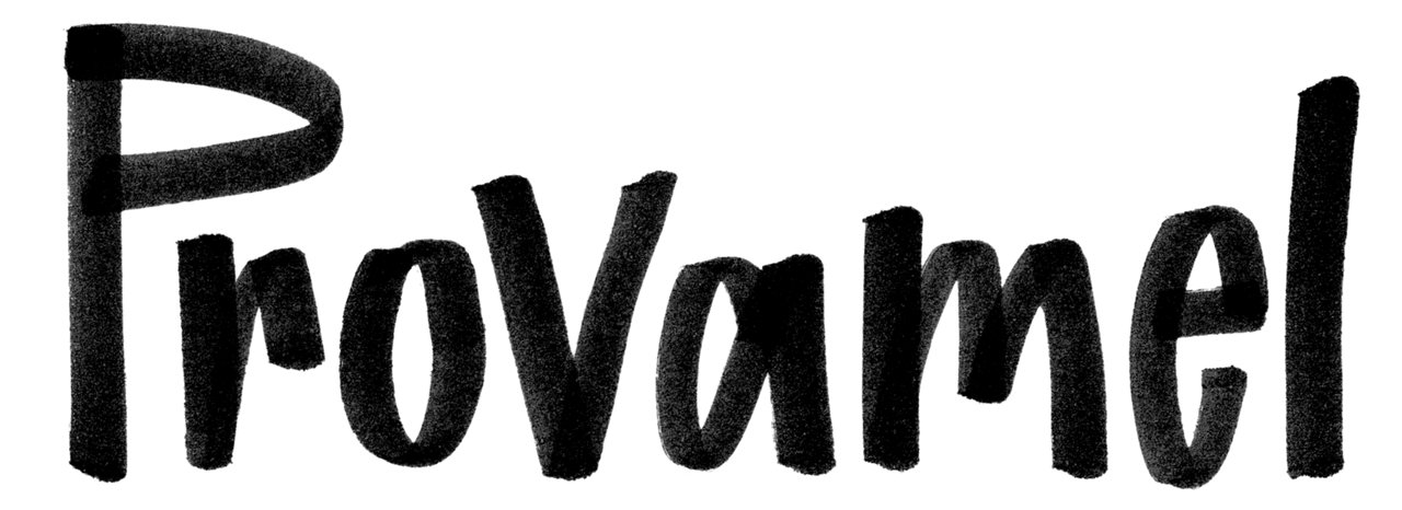 PROVAMEL_NEW_BLACK_LOGO