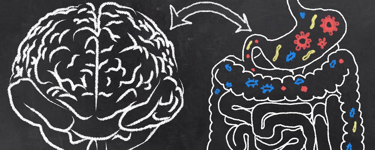 Instestino e cervello sono collegati