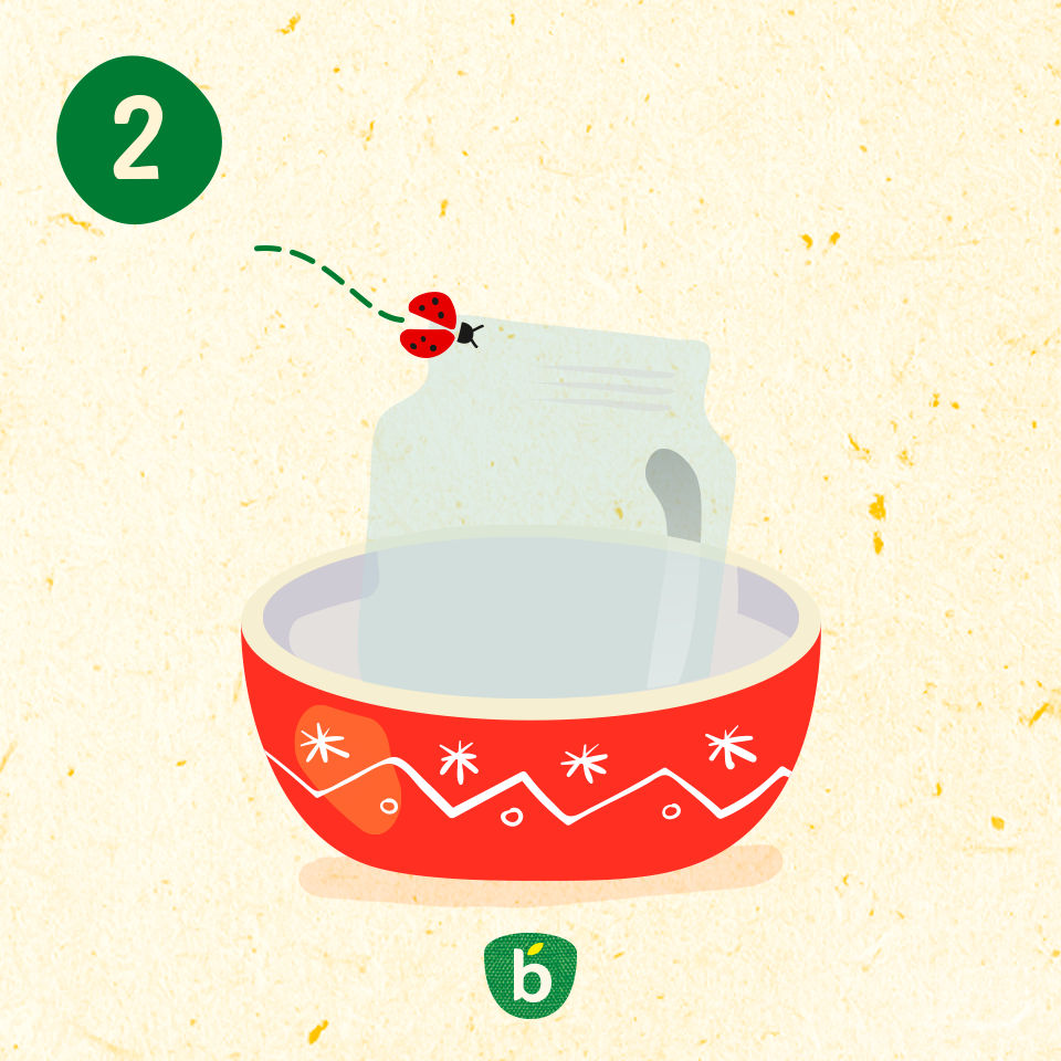Illustration coloree representant un bol rouge avec des motifs decoratifs blancs, accompagne d'une pochette transparente. Une coccinelle volante est representee au-dessus de la pochette, ajoutant une touche ludique. Le chiffre � 2 � et la lettre � b � sont visibles dans des cercles verts.