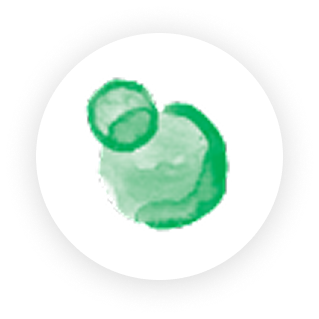 Probiotics and prebiotics bubble