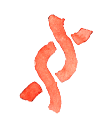 Protein icon