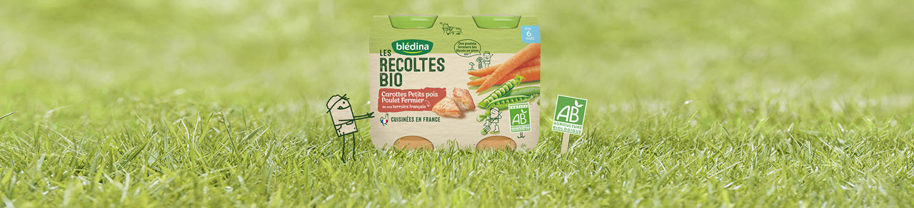 Oysters In Pregnancy