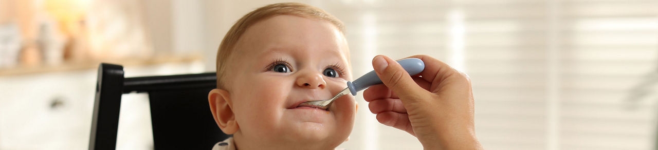 Oysters In Pregnancy