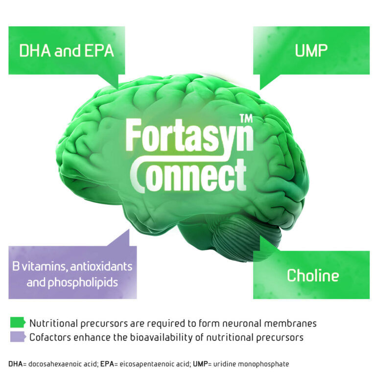 A green brain-shaped graphic prominently displays 'Fortasyn Connect' text in the center. Surrounding the brain are labeled nutritional components, including DHA and EPA, UMP, Choline, and B vitamins, antioxidants, and phospholipids. The image emphasizes nutritional precursors for neuronal membranes and cofactors enhancing bioavailability.