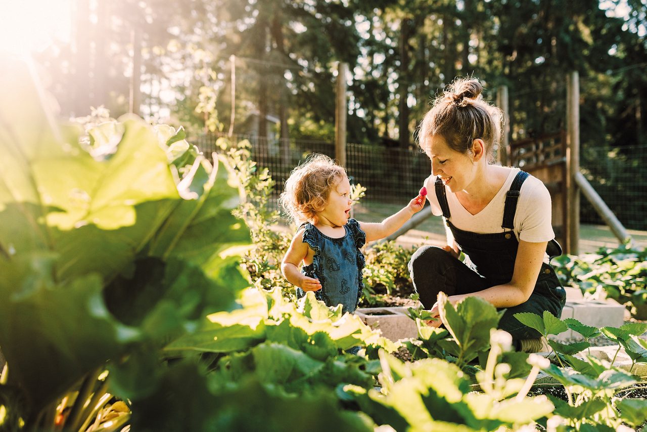 Mamma e bambino raccolgono verdure nell'orto