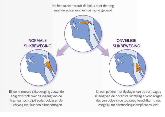 Slikfysiologie