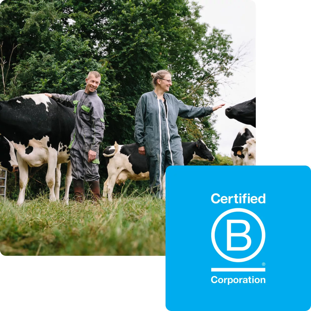 Cerrtificazione B-Corp Danone e uomini che si prendono cura degli animali