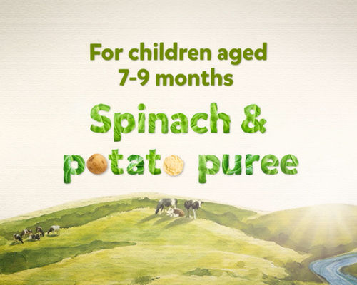 Spinach and potato puree for children ages 7-9 months