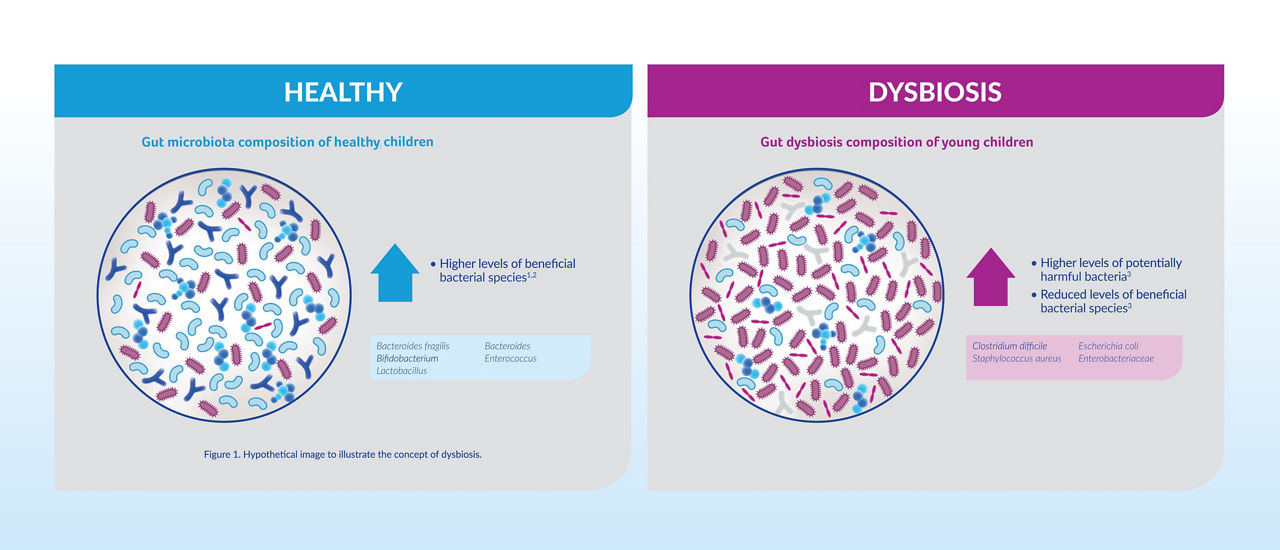 synbiotics-bacteria-my