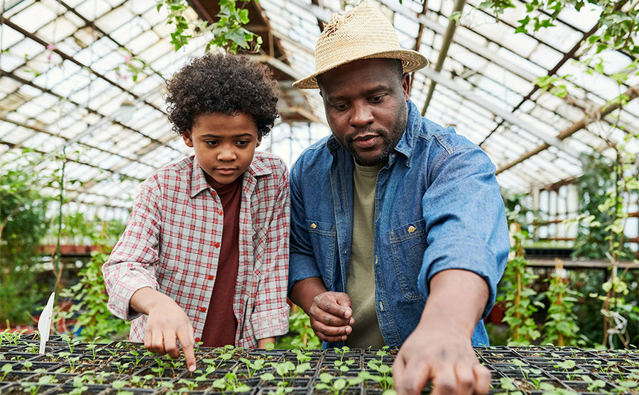 Image of a man and a child tending to seedlings in a greenhouse.