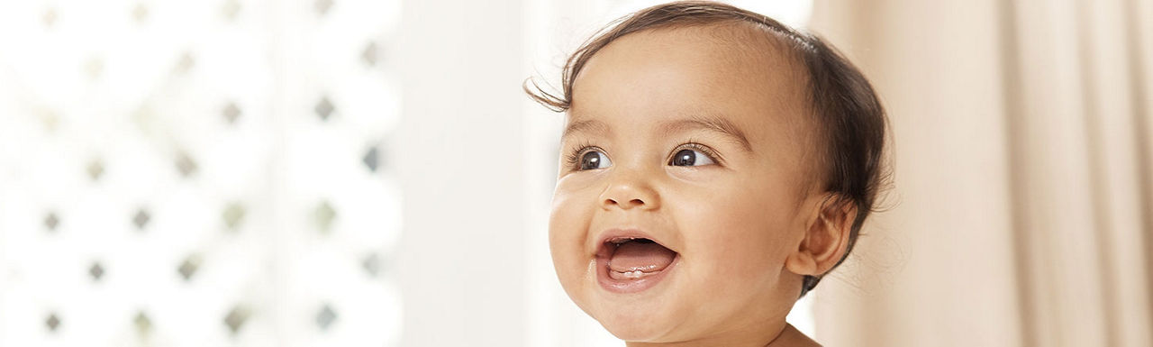 Oysters In Pregnancy