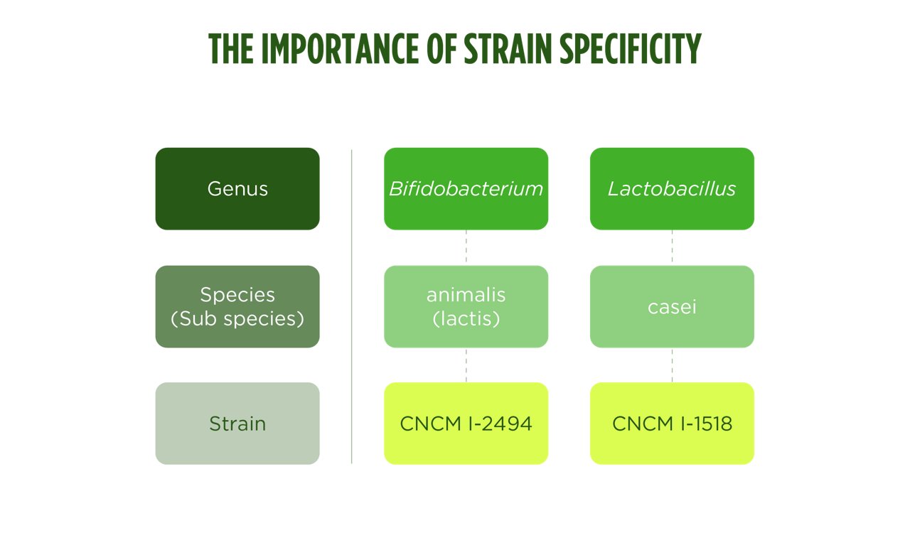 The_Importance_of_Strain_Specificity