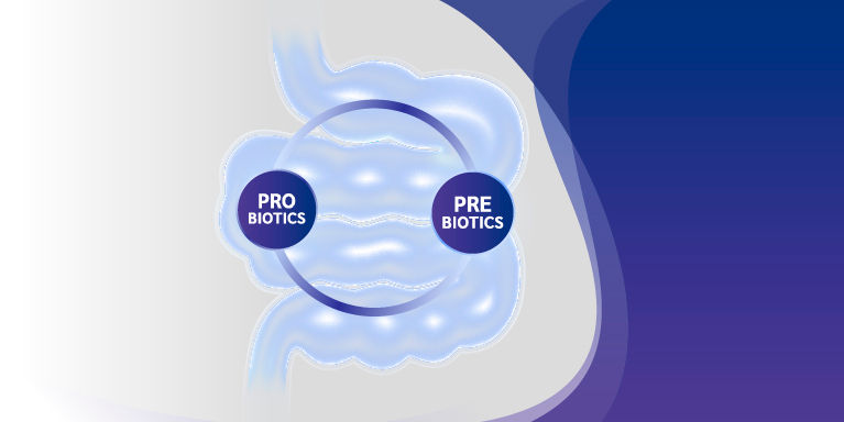 Thumbnail Peran Prebiotic
