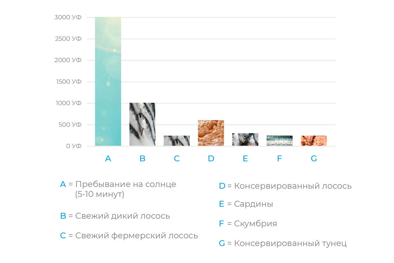 инфа про витаминов