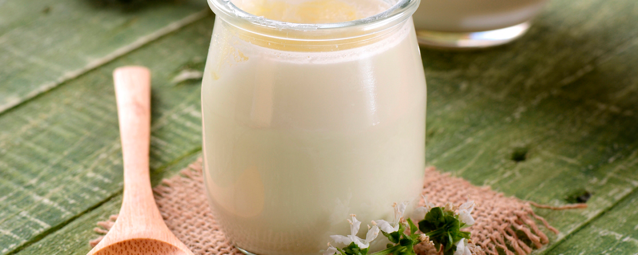 Caratteristiche dello yogurt Activia