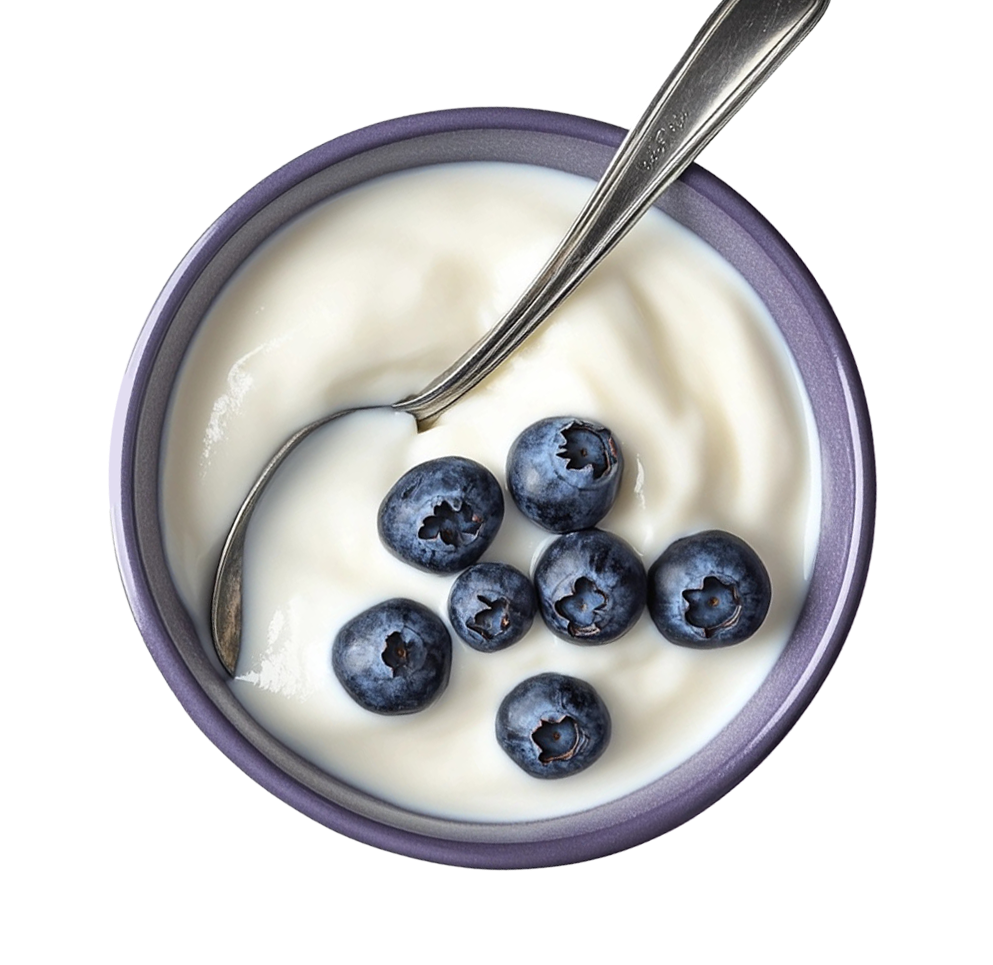 Bowl of creamy yogurt with blueberries