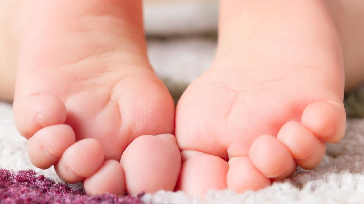 Oysters In Pregnancy