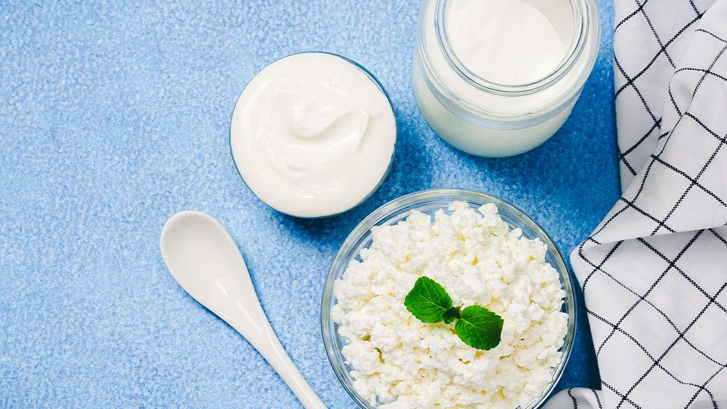 Produits laitiers fermentés