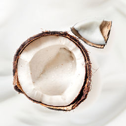Saveur Coco