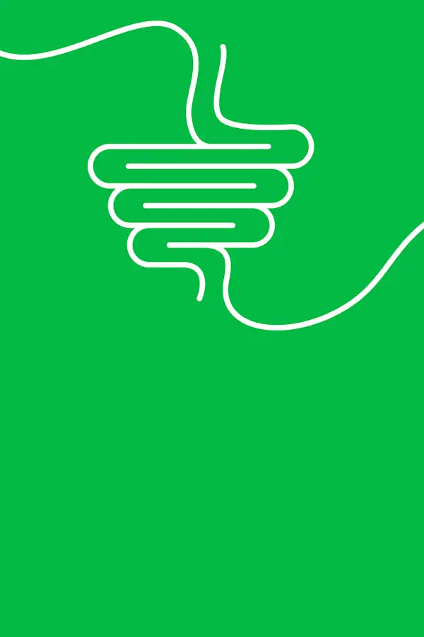 digestive system