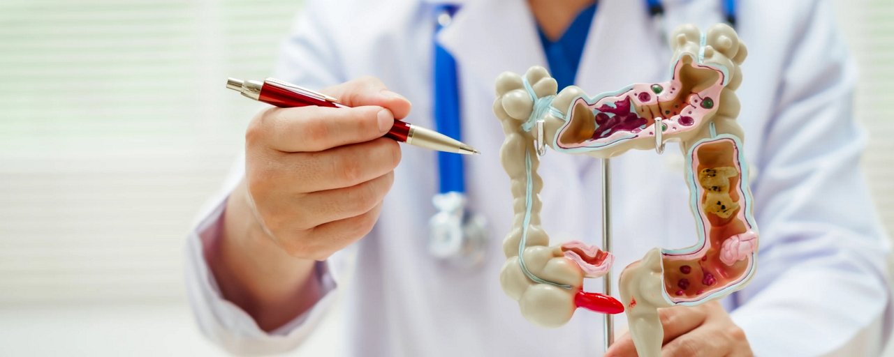 man show digestion track