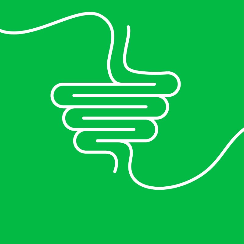 Activia illustrations