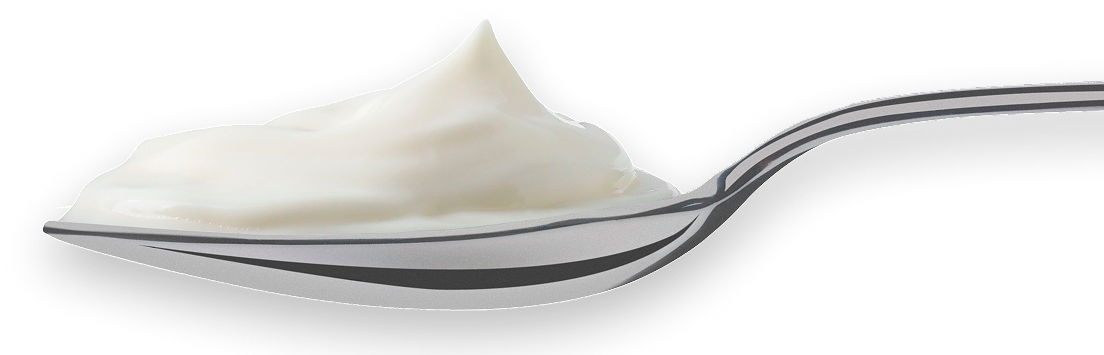 Metal spoon holding creamy white yogurt