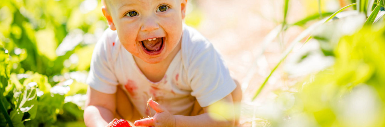 Oysters In Pregnancy