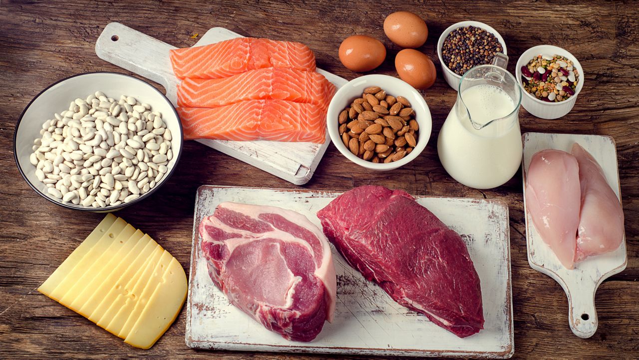 Best Foods High in Protein. Healthy eating and diet concept