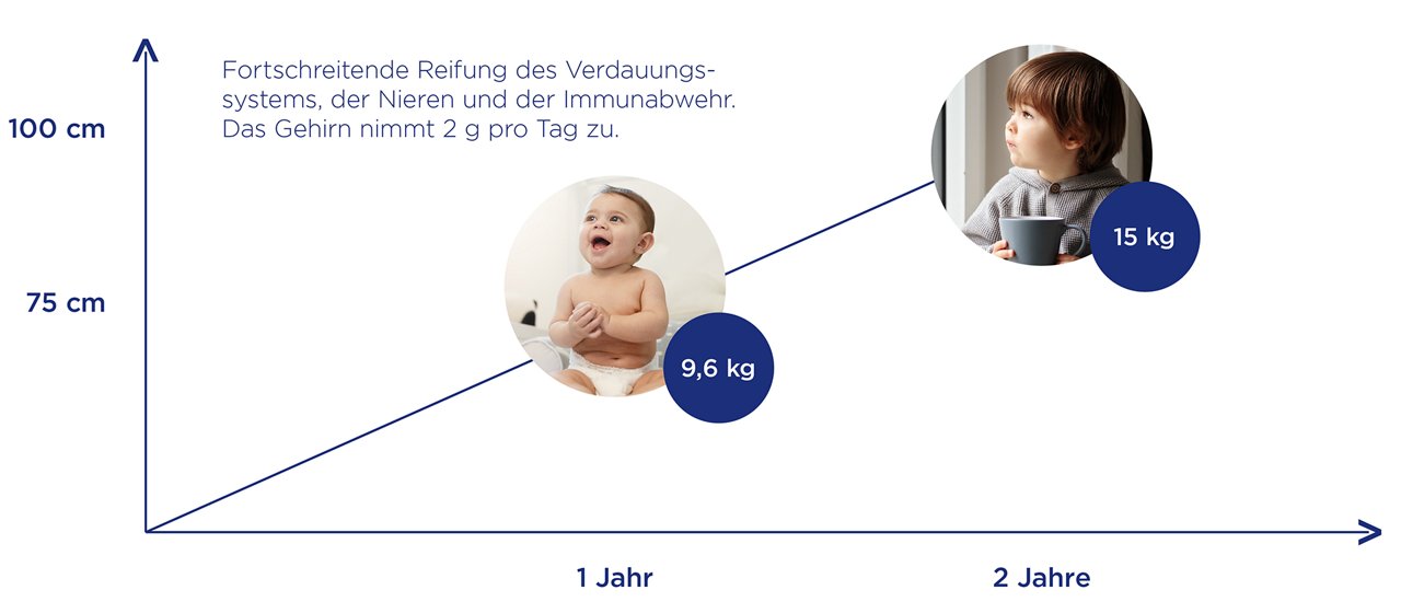 Entwicklung Kleinkind Diagramm