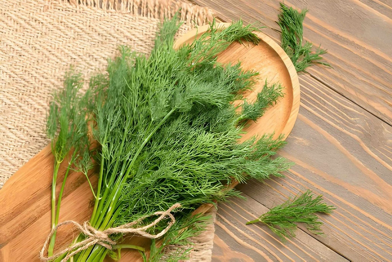 Chế độ ăn cho sữa mẹ đặc và mát nên có thêm thìa là