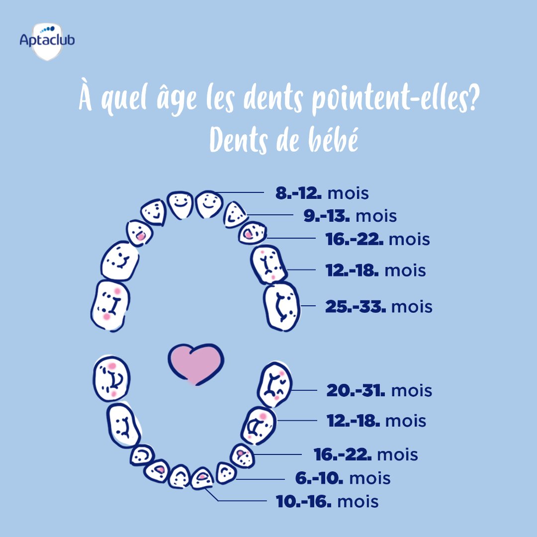 Les dents de bébé - Dans quel ordre apparaissent-elles ?