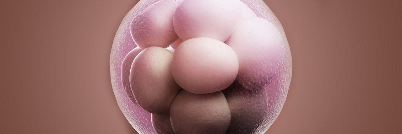 Embryo in der 1 Schwangerschaftswoche