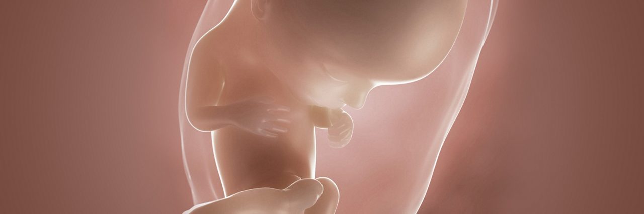 Fötus in der 13 Schwangerschaftswoche