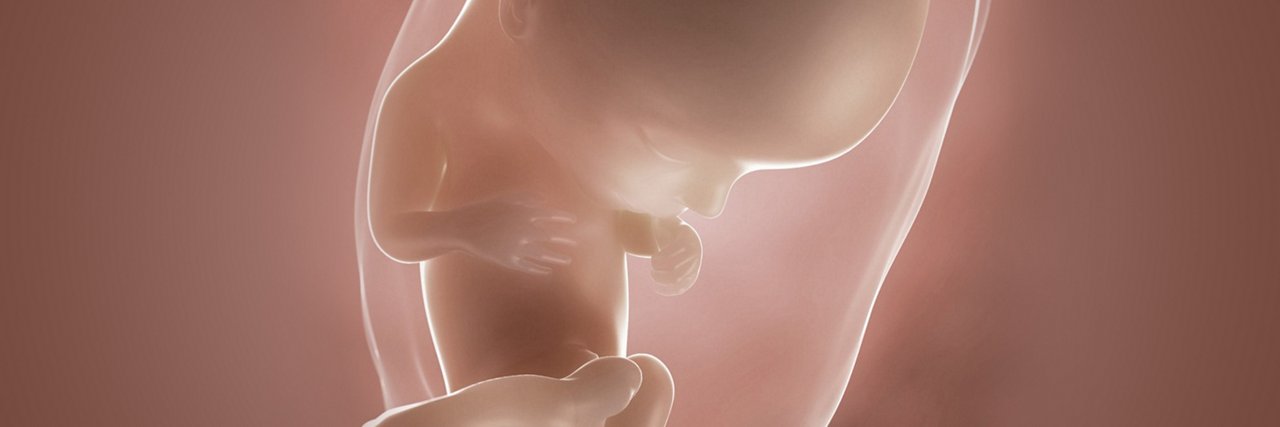 Fötus in der 13 Schwangerschaftswoche