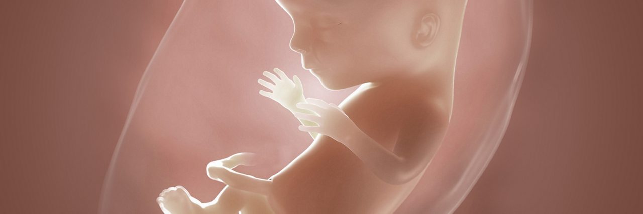 Fötus in der 15 Schwangerschaftswoche