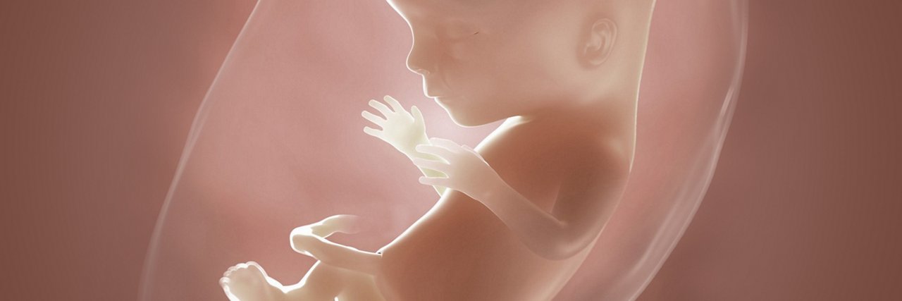 Fötus in der 15 Schwangerschaftswoche