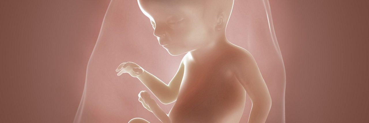 Fötus in der 18 Schwangerschaftswoche