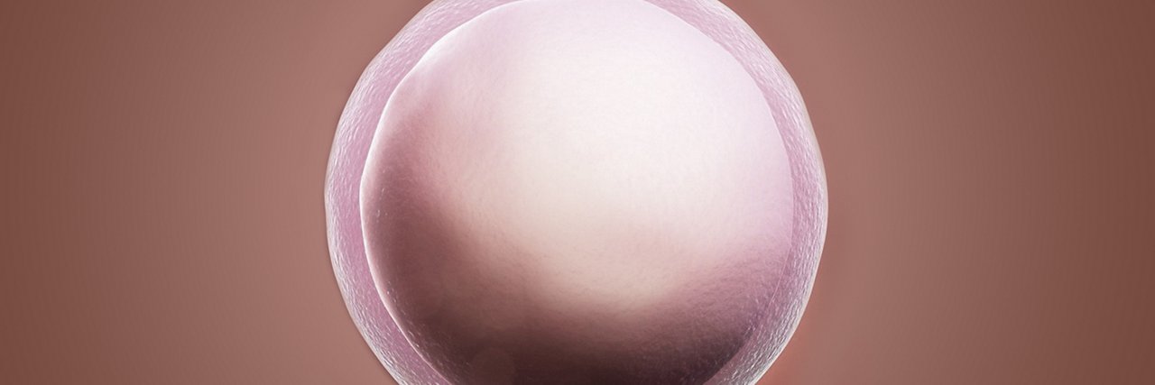 Embryo in der 2 Schwangerschaftswoche