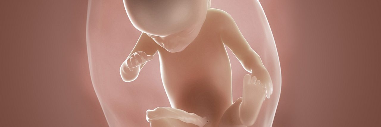 Fötus in der 21 Schwangerschaftswoche