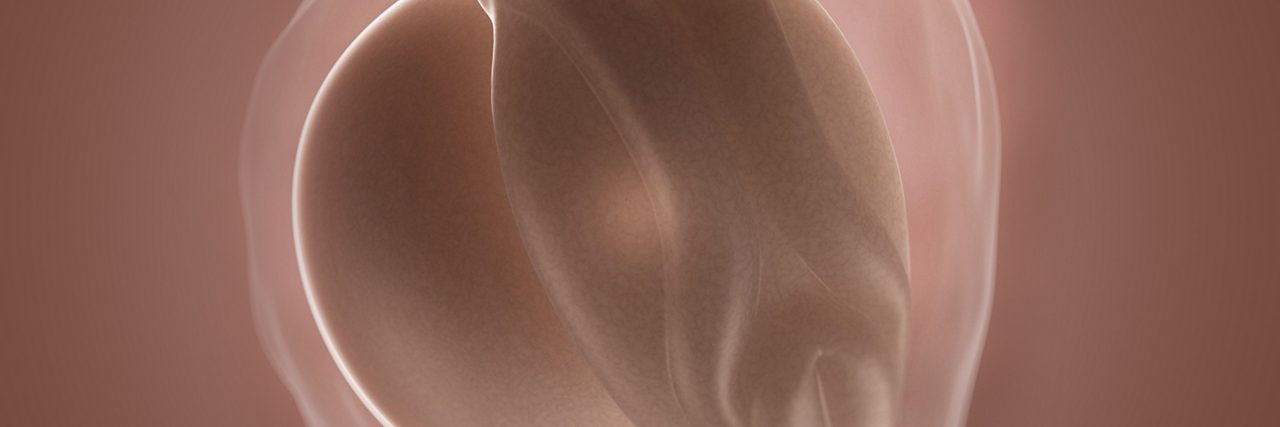 Embryo in der 3 Schwangerschaftswoche