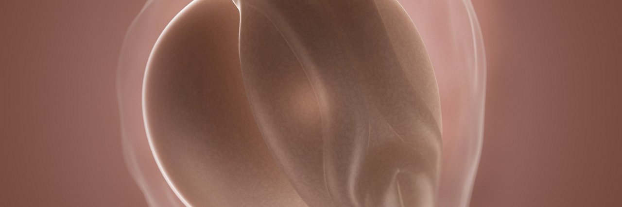 Embryo in der 3 Schwangerschaftswoche